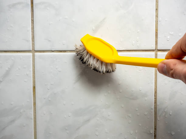 Best Home Mold Removal  in Muhlenberg Rk, PA