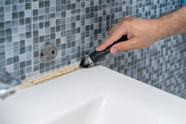 Best Mold Damage Repair  in Muhlenberg Rk, PA